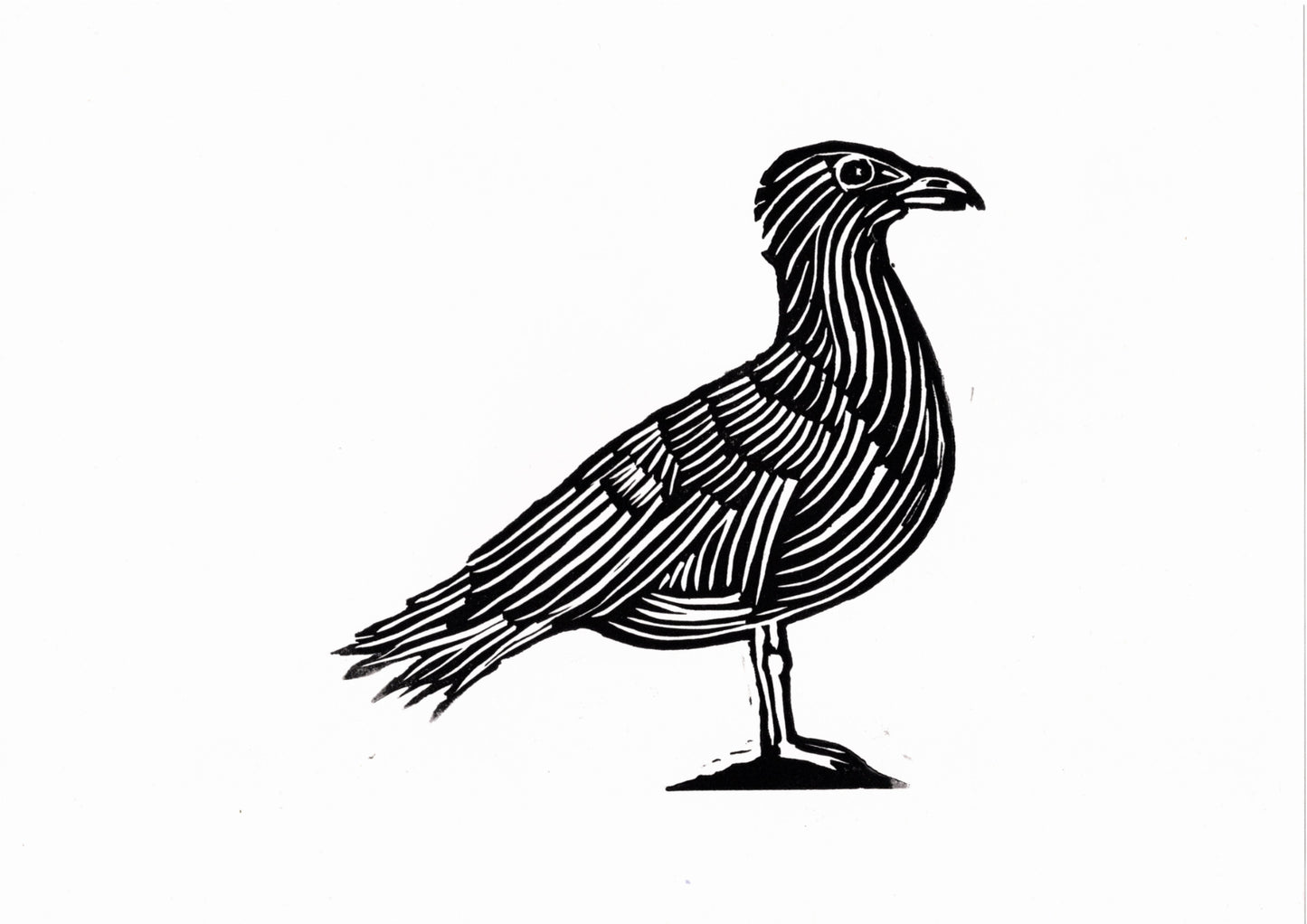 Seagull Print - Red - Black - Blue - A4 Size. Handcrafted Bird Artwork for Animal Lovers - Free UK Delivery